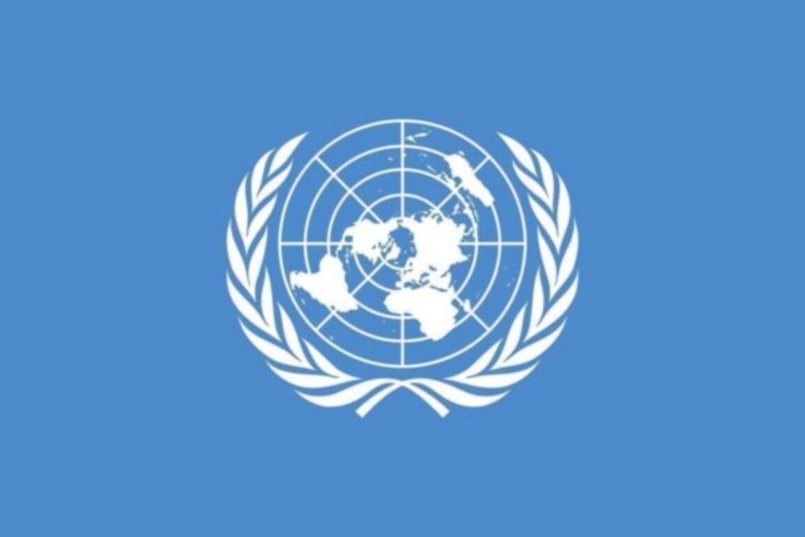 OPT Humanitarian Country Team demands ceasefire, protection from forced displacement