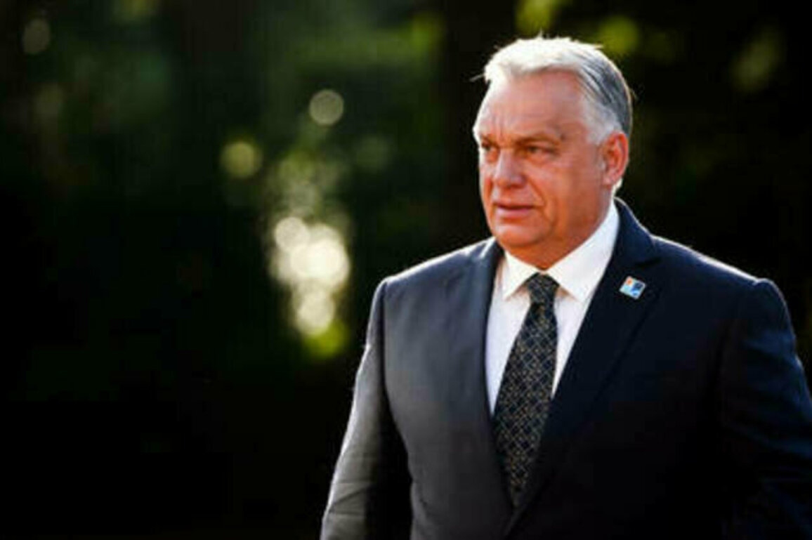 Orban calls for Russia-EU summit
