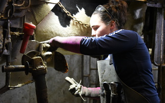 Dairy special: Act swiftly to rectify early-stage lameness