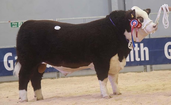 STIRLING BULL SALES: Herefords sell to 6,200gns