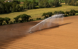 Environment Agency updates farm irrigation rules as heatwave raises drought fears
