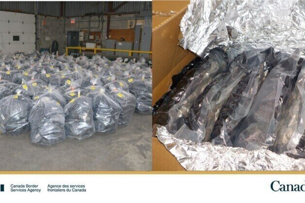 CBSA seizes 2,723 kg of cannabis at Montreal Marine and Rail Services