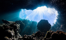 'We must stop': Marine scientists call for permanent ban on high seas exploitation