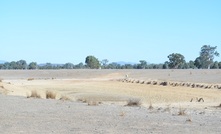  The NFF has released its drought policy. Picture Mark Saunders.