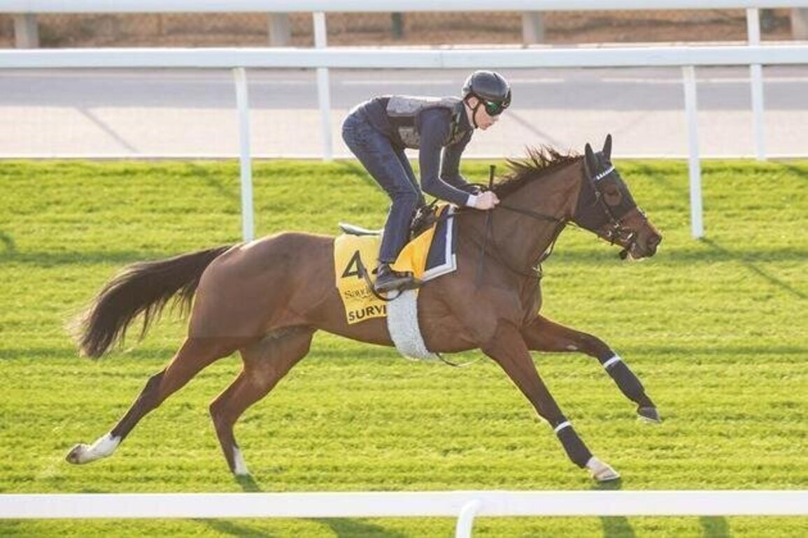 Survie to take on world's elite in Dubai Longines Sheema Classic