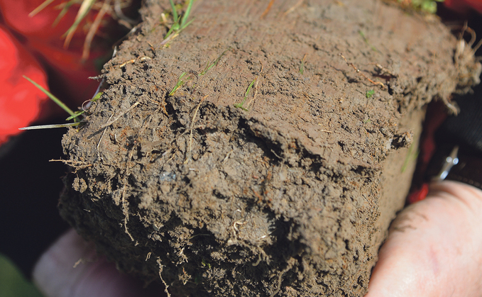 Why spring decisions should start with soil biology