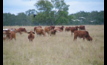  Power tools: The Paddock Power package allows extensive graziers to plan, map and cost new paddock developments.  Photo: Pamela Lawson.