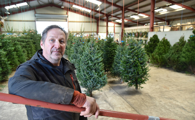  Growing Christmas trees is a key element to West Yorkshire arable farm