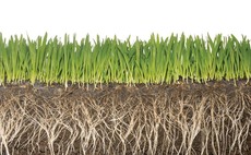 Soil Carbon Code for UK farmers to be developed