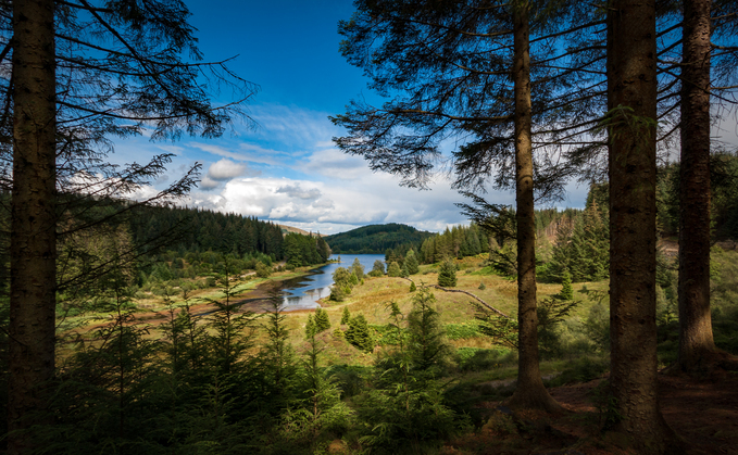 DB schemes are finally out of the woods, but challenges remain