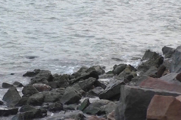 Tamil Nadu: Plastic recycling work at Muthunagar beach marks World Oceans Day