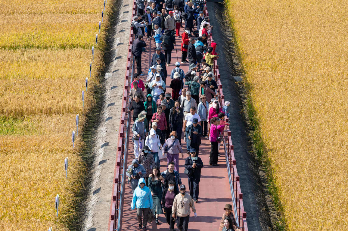 CHINA-HEILONGJIANG-FARMERS' HARVEST FESTIVAL (CN)
