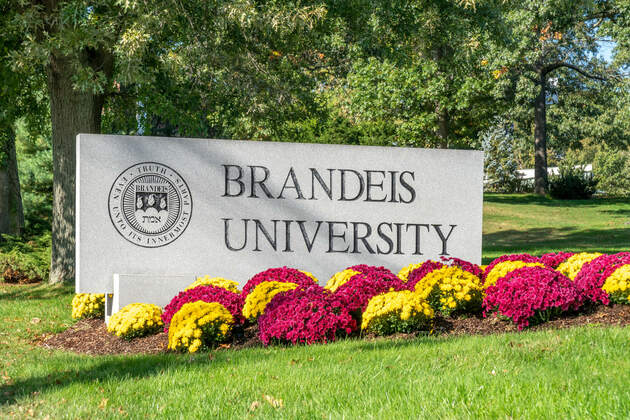 &#39;If Yiddish isn&#39;t safe at Brandeis, where is it safe&quest;&#39;  The Forward