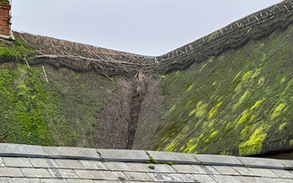 How EcoMossUK is using waste plants and pallets to make capture carbon 'tangible'