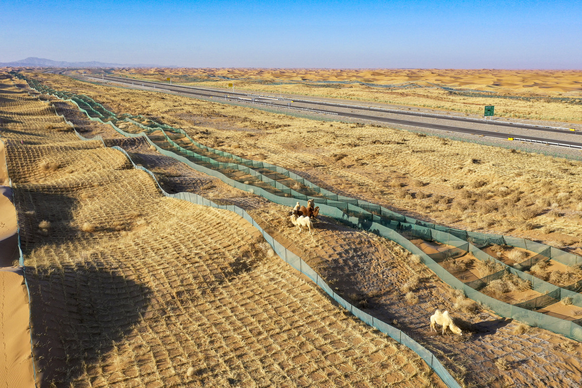 New study links water balance, plant growth to desertification control