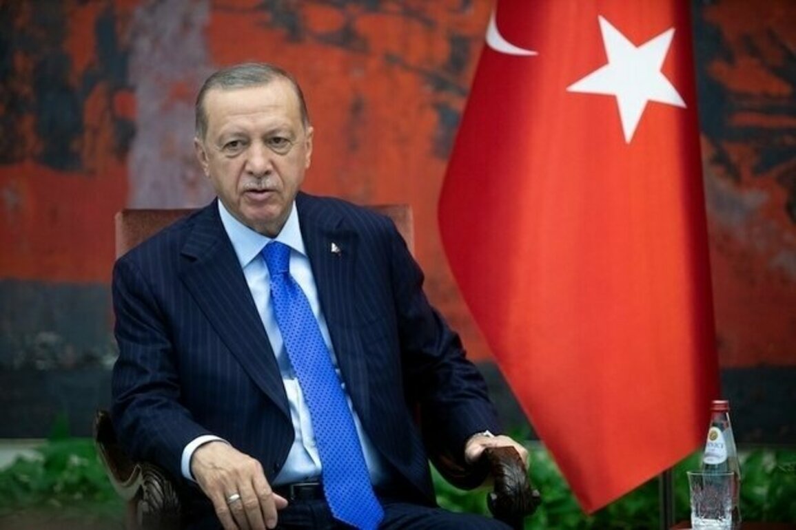 Opinion Turkeys Continuing Autocratic Turn