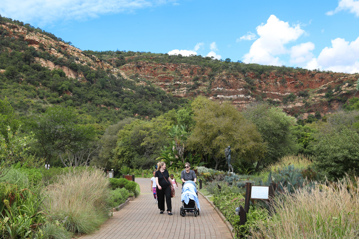 SOUTH AFRICA-JOHANNESBURG-NATIONAL GARDENS WEEK