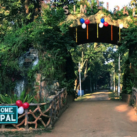 Similipal Tiger Reserve faces severe ecological distress due to illegal stone mining activities