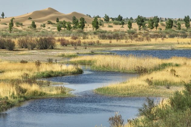 CHINA-INNER MONGOLIA-ORDOS-KUBUQI DESERT (CN)