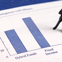 Fixed-Income Funds vs Fybrid Funds: Allocation Differences
