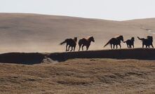  Inner Mongolia. Foto de Gigi no Unsplash