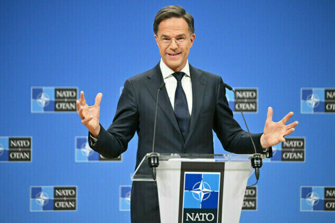 NATO to abandon woke language  Politico