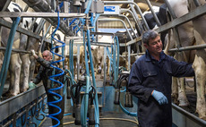 Over the Farm Gate podcast: Milk price drops will shatter confidence