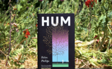 Dystopian novel about the 'Disneyfication of nature' wins £10,000 Climate Fiction Prize 