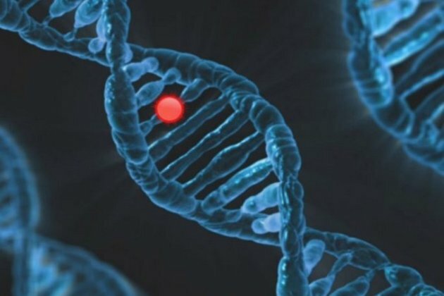 Role identified for single gene linked to rare syndrome of epilepsy, autism and developmental disability