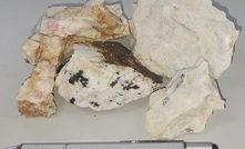 Surface samples from Goongarrie