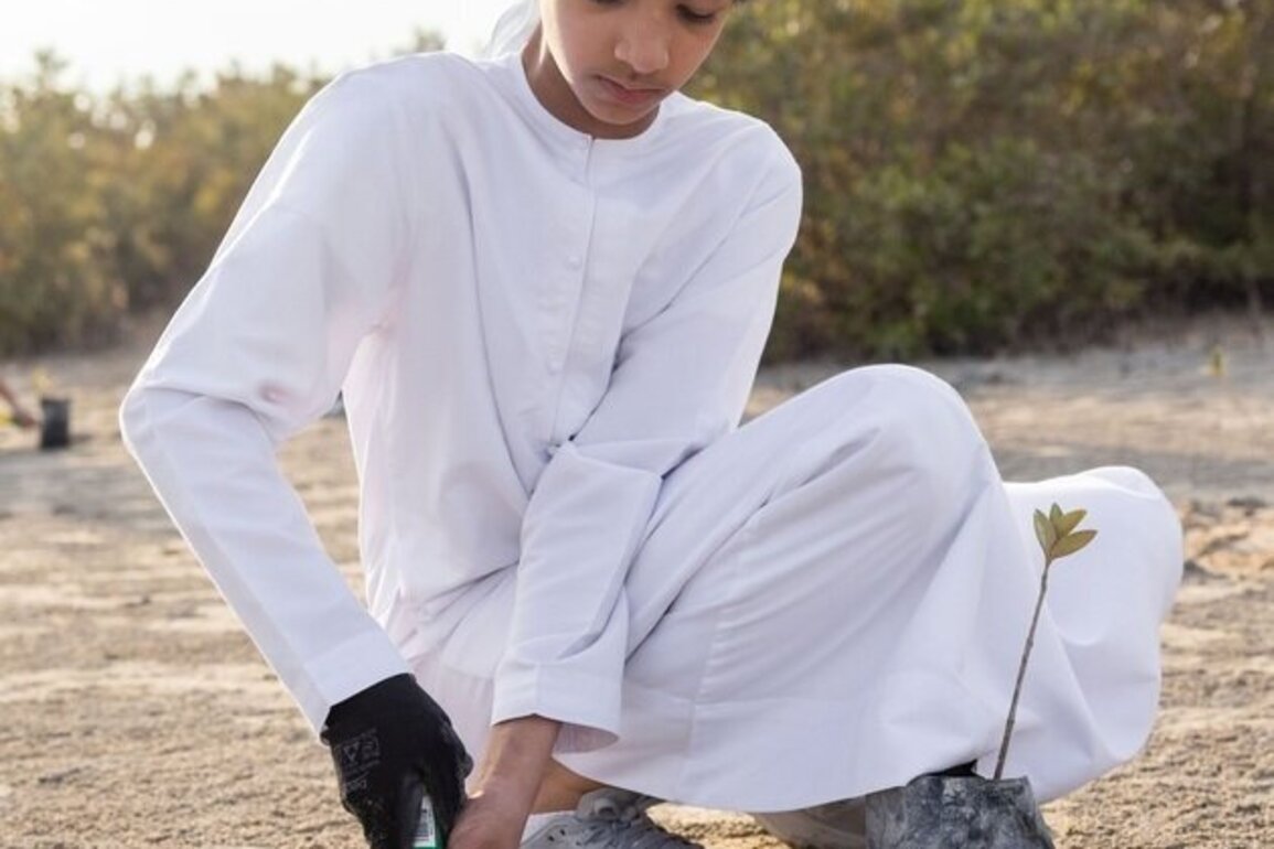 DEWA supports biodiversity, restoration of mangrove forests in cooperation with DECCA