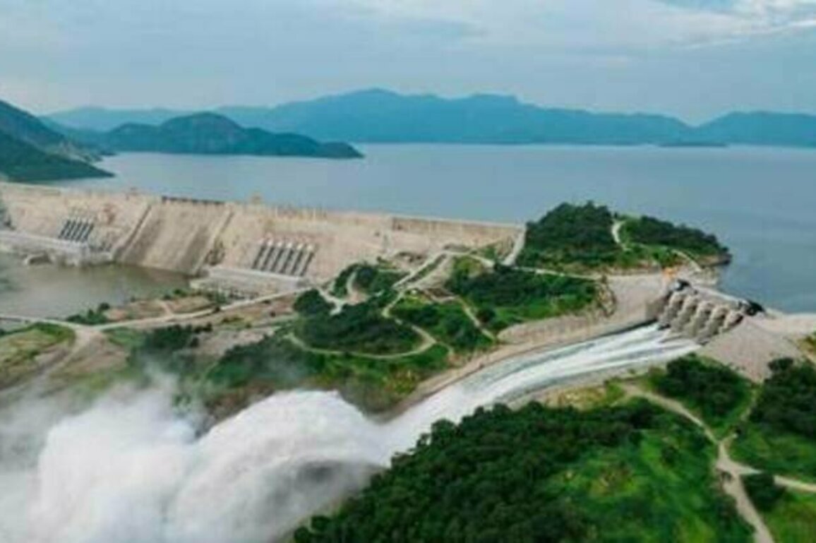 Somalia ready to mediate Nile water talks - president