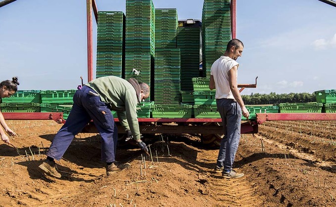 Higher wages are not the answer to farm industry's labour crisis