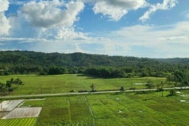 Soil rejuvenation program expands in 2 Leyte towns