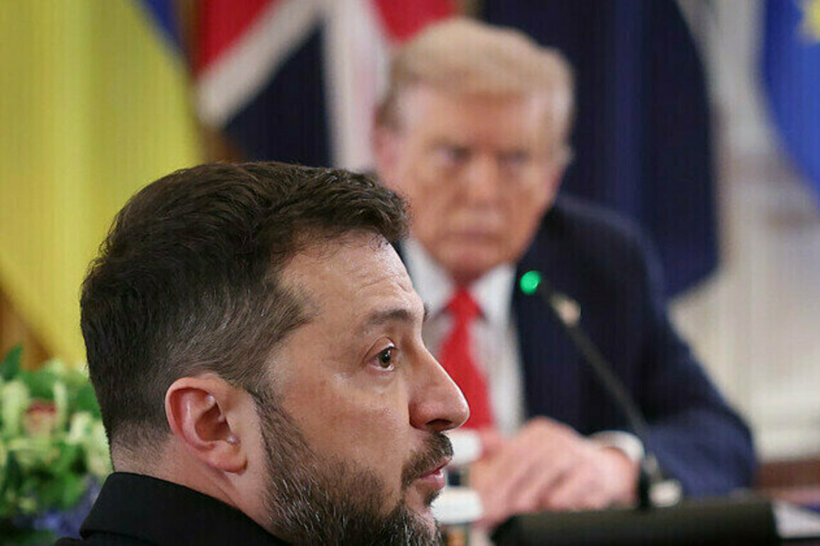 Trump pushing Zelensky to sacrifice land for peace  ex-congressman
