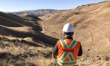  First Vanadium to investigate gold opportunity at its Carlin project in Nevada