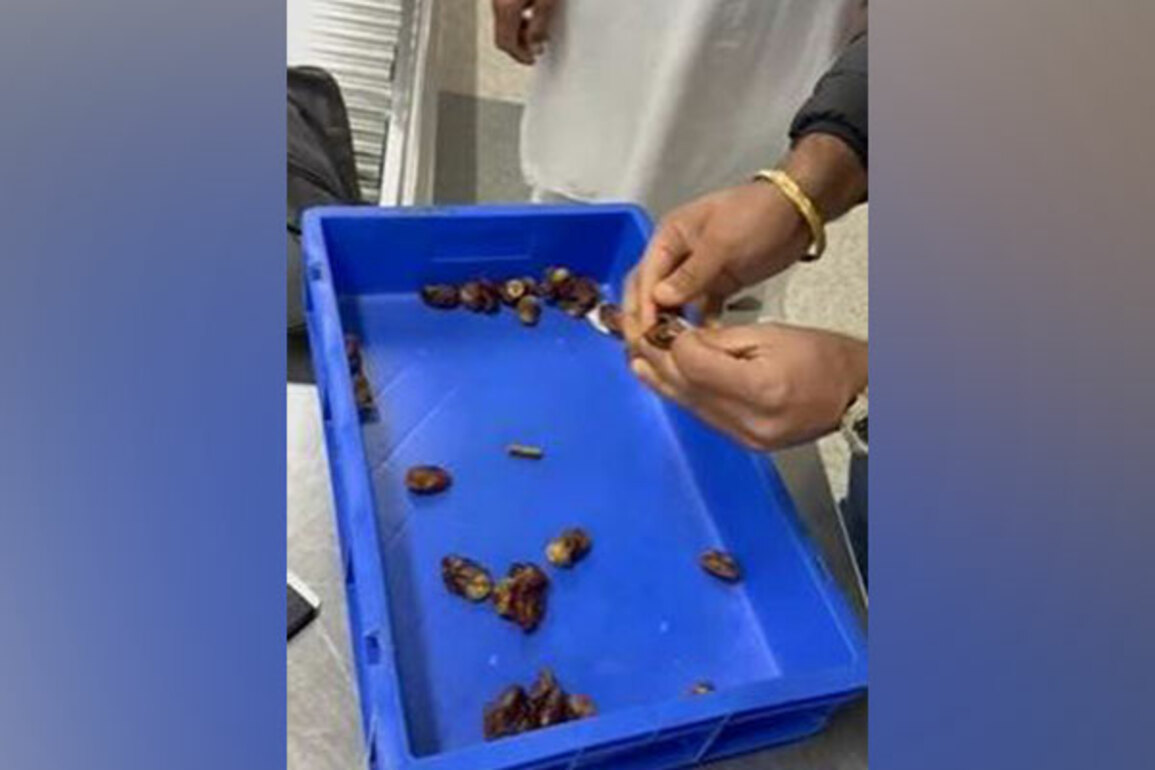 Delhi: Customs seizes 172gm gold concealed in dates at IGI Airport