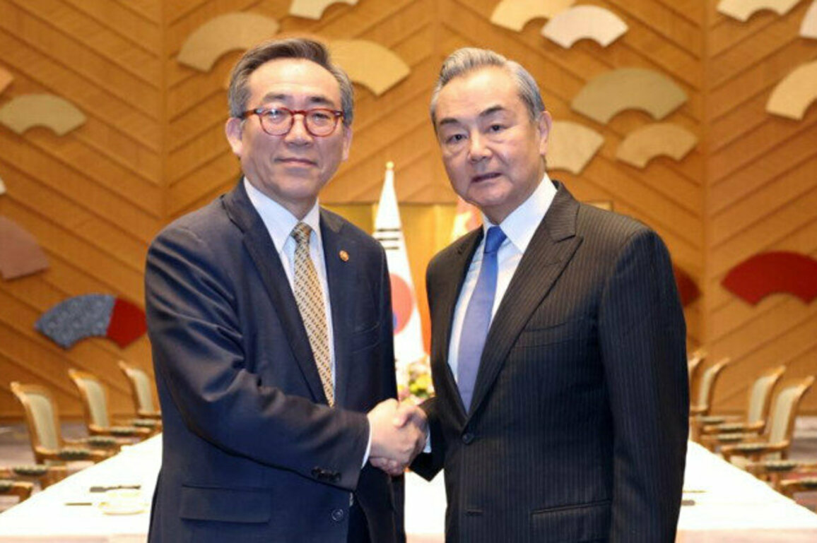 Wang Yi reaffirms China's strong ties with South Korea