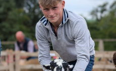 Family to auction prize lamb in memory of son
