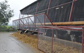 Feed savings by starling-proofing sheds