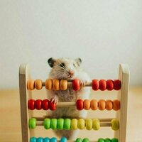 Humans and animals can both think logically - but testing what kind of logic they're using is tricky