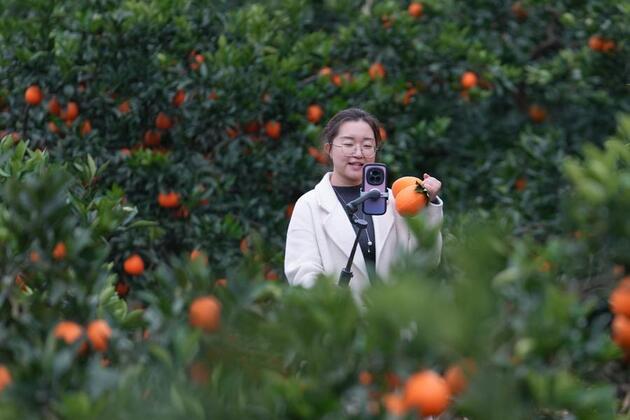 China drives farmers' income growth to expand demand, bolster economy