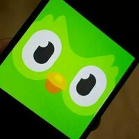 From M&S to Duolingo: banter between brands on social media gets people buying - but there's a catch