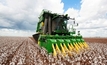 Cotton harvest efficiency boost