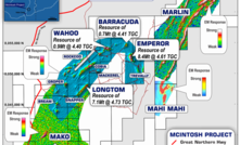  McIntosh resources and targets