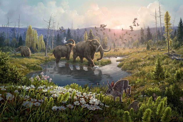 The oldest DNA ever found reveals a snapshot of a vanished world