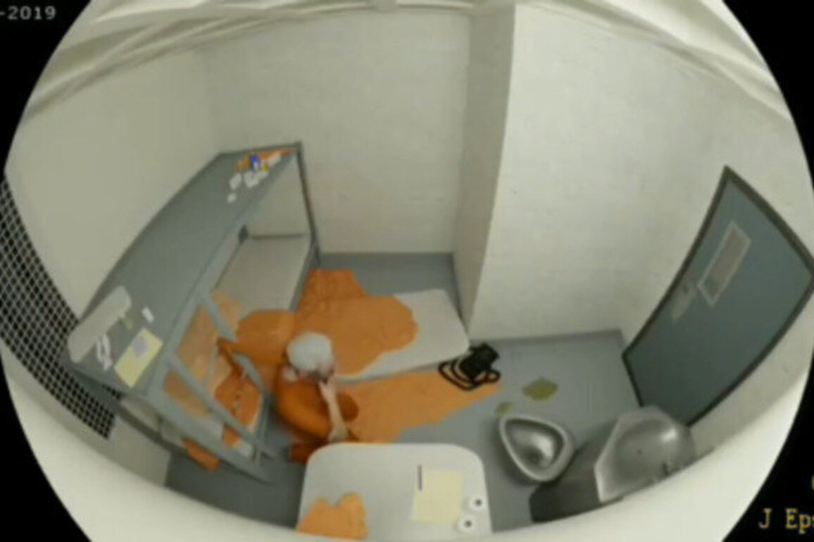 Fake Epstein suicide video slips into DOJ release
