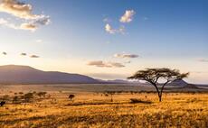 Challenges of farming five cows in Africa