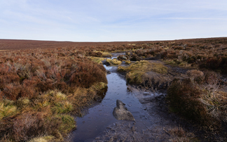 Defra unveils £50m peatland restoration package