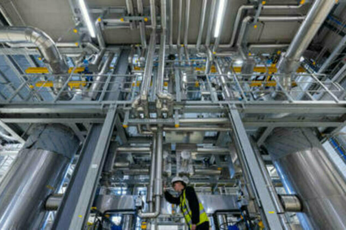EU could become 'province of China' - German industry leader